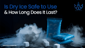 Dry ice cubes in a bowl and vacuum-sealed packs, surrounded by fog.
