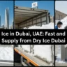 Buy Dry Ice in Dubai, UAE: Fast and Reliable Supply from Dry Ice Dubai